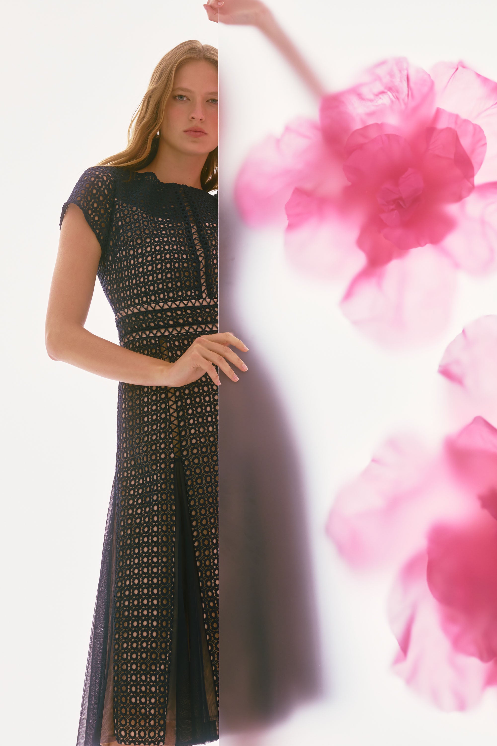 Giupure and Mesh Fit and Flare Dress