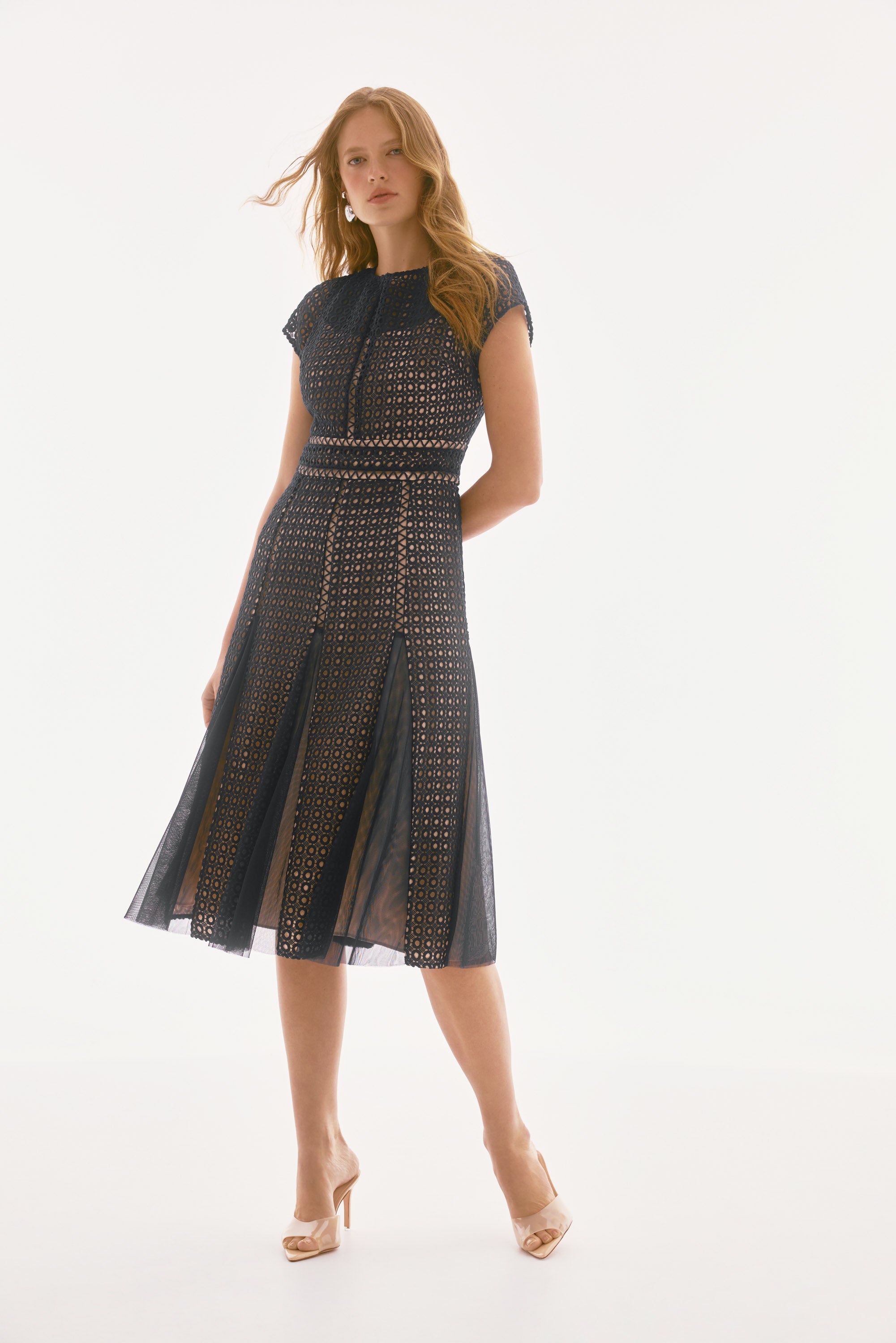 Giupure and Mesh Fit and Flare Dress