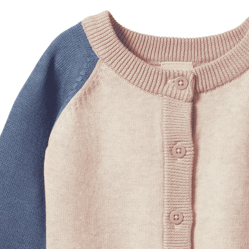 Close-up of a children&