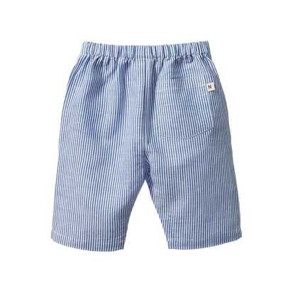 Blue and white striped shorts on a white background