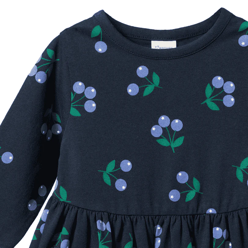Navy blue dress with blueberry pattern on a white background