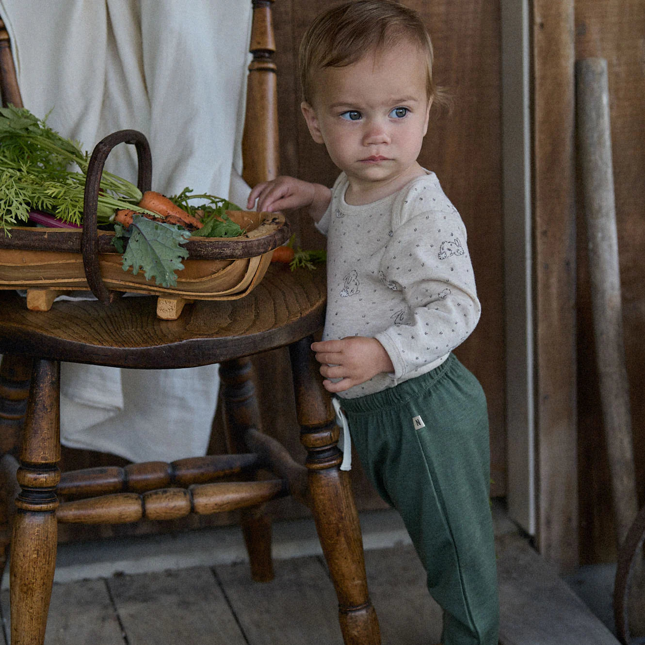 L/S Bodysuit Bramble Burrow Nature Baby