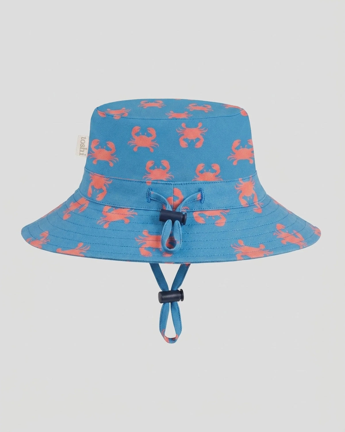 Sunhat Tide Mud Crabs - Toshi