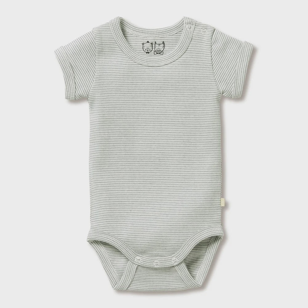 Wilson + Frenchy Organic Stripe Bodysuit