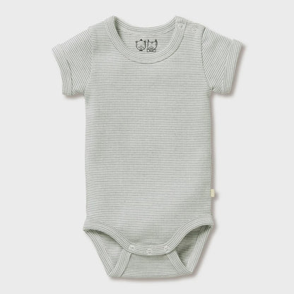 Wilson + Frenchy Organic Stripe Bodysuit