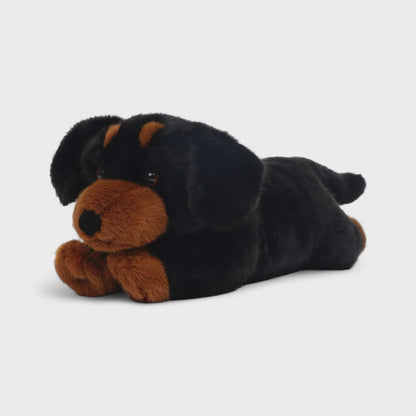 One Love Pumpkin Dachshund - Johnco