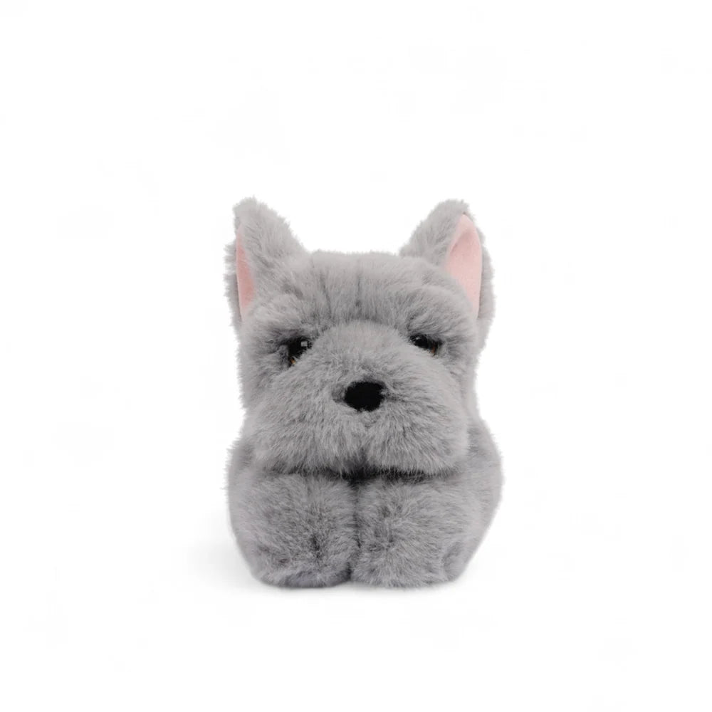 One Love Remmy French Bulldog - Johnco
